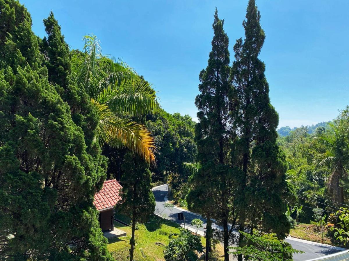 Grand Whiz Hotel Bromo Buitenkant foto